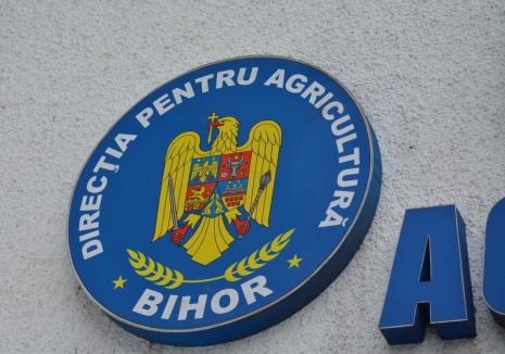 De două ori consilier: Un fost angajat al Direcţiei Agricole Bihor, declarat în incompatibilitate de ANI