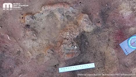 „Descoperire senzațională” lângă Oradea: Arheologii au găsit mormântul unei femei care a fost îngropată cu 169 de inele de aur prin păr, în perioada Eneolitică (FOTO / VIDEO)