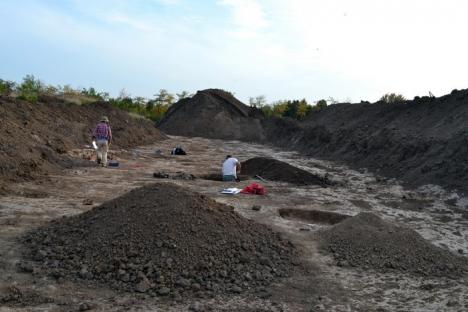 Descoperiri importante în Oradea: Urme care arată că zona era locuită încă de acum 7.000 de ani (FOTO)