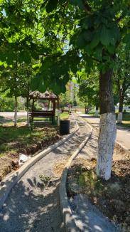 Ocoliți și ocrotiți! Afișele care au salvat mai mulți copaci din Oradea (FOTO)