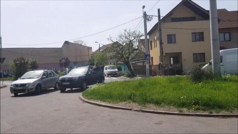 Șpaga de Paști: BIHOREANUL i-a surprins în flagrant pe pădurarii Ocolului Silvic Oradea ducând mită miei, palincă și vin pentru șefi (FOTO / VIDEO)