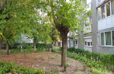 Prefectura atacă Regulamentul de spaţii verzi din Oradea: Obligaţia întreţinerii spaţiilor poate fi impusă doar prin referendum!