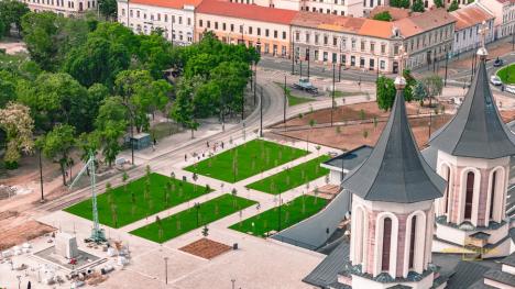 Centrul Civic din Oradea înverzește: Se plantează arțari, stejari, magnolii, lavandă și trandafiri. Peste 4.000 mp semănați cu gazon (FOTO)