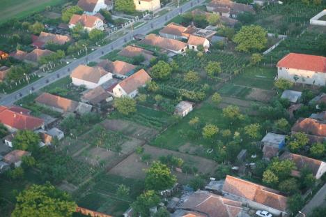 Cum staţi cu verdele? Oradea şi Salonta asigură locuitorilor minimumul de spaţii verzi, Beiuş şi Marghita nu