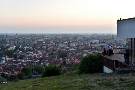 Frumusețe spontană: Spectacol al naturii în Oradea, cu flori de mac și de mușețel (FOTO)