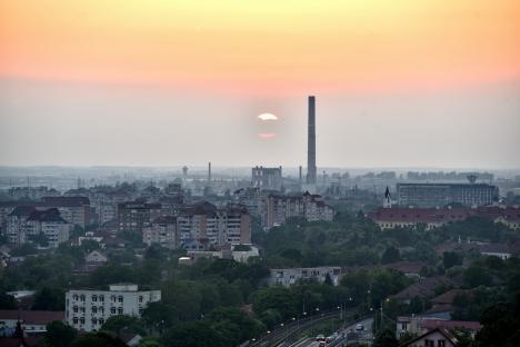 Frumusețe spontană: Spectacol al naturii în Oradea, cu flori de mac și de mușețel (FOTO)