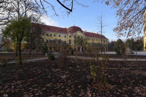 Şantierul din complexul Baroc: Faţadele palatului au fost reabilitate, în grădină se verifică starea de sănătate a copacilor (FOTO / VIDEO)