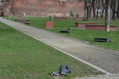 30.000 lei pagubă: Doi drogaţi au distrus 20 de stâlpi de iluminat din şanţul Cetăţii (FOTO)