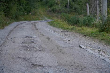 Parcare de lux: Stâna de Vale arată ca după război, dar frații Micula pun taxă până și pe parcările improvizate (FOTO)