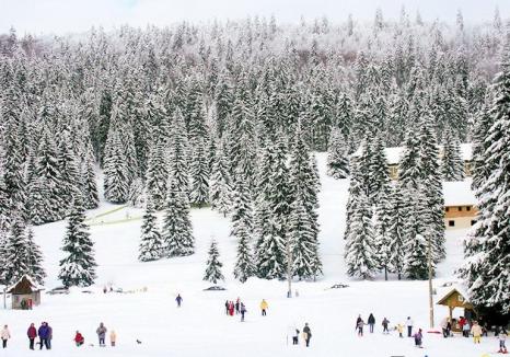 Avalanşă la Stâna de Vale şi în Remeţi, din cauza viscolului