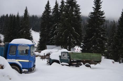 Mişcare la Stâna de Vale: Au apărut pârtii noi cu instalații de teleschi, tubing și baby schi! (FOTO)