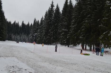 Mişcare la Stâna de Vale: Au apărut pârtii noi cu instalații de teleschi, tubing și baby schi! (FOTO)