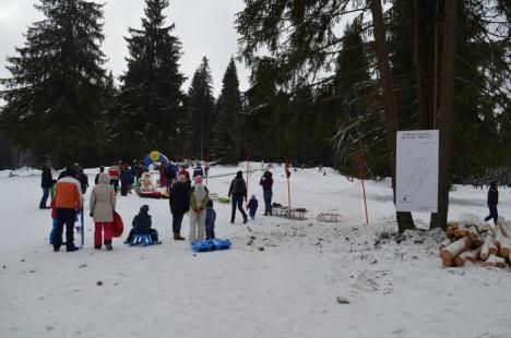 Mişcare la Stâna de Vale: Au apărut pârtii noi cu instalații de teleschi, tubing și baby schi! (FOTO)