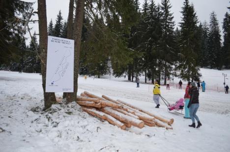 Mişcare la Stâna de Vale: Au apărut pârtii noi cu instalații de teleschi, tubing și baby schi! (FOTO)