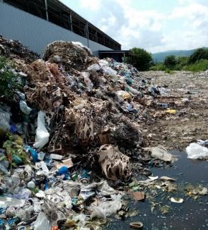 Gunoaie de-a valma: Staţia de sortare a deşeurilor din Aleşd, amendată cu 20.000 de lei