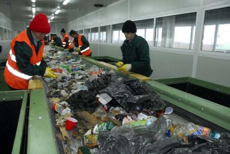 Drumul deşeurilor: Deşeurile reciclabile ale orădenilor se transformă în caiete, mochete ori haine