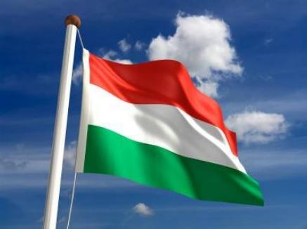 Ca în fiecare an, partidele maghiare din Bihor sărbătoresc separat Ziua Maghiarilor de Pretutindeni 