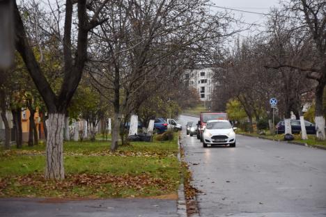 Orădeni vs. Primărie: Locuitorii de pe strada Ronald Reagan au câștigat primul proces prin care își protejează spațiile verzi din fața caselor