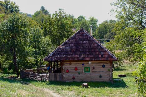 Sat recondiționat: Un mic grup de străini îndrăgostiți de frumusețea locului readuc la viață satul Zece Hotare din Bihor (FOTO)