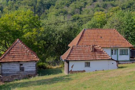 Sat recondiționat: Un mic grup de străini îndrăgostiți de frumusețea locului readuc la viață satul Zece Hotare din Bihor (FOTO)