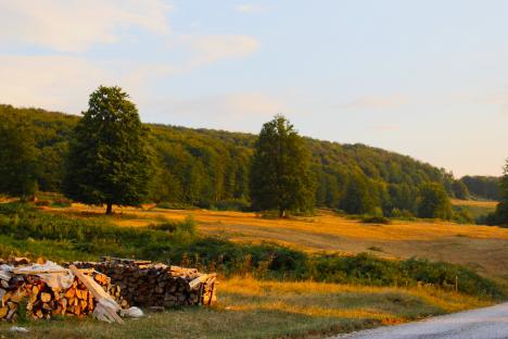 Sat recondiționat: Un mic grup de străini îndrăgostiți de frumusețea locului readuc la viață satul Zece Hotare din Bihor (FOTO)