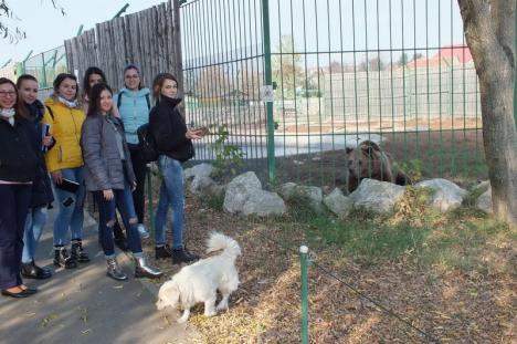 Lecție de jurnalism la Zoo Oradea (FOTO)