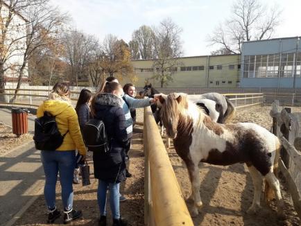 Lecție de jurnalism la Zoo Oradea (FOTO)