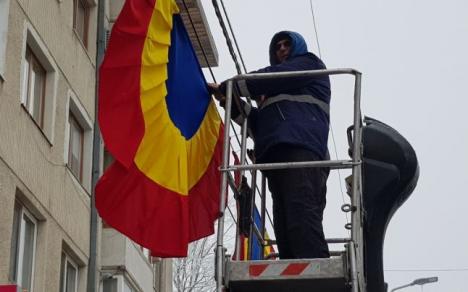 Modă de Oradea! Pentru că i-a plăcut ce a văzut la noi, primarul din Suceava a împodobit oraşul cu cocarde tricolore (FOTO)