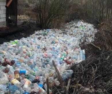 Amenzi pentru râul de gunoaie: Primăria Finiş, sancţionată de Garda de Mediu şi obligată să cureţe PET-urile din pârâul Şuncuiş