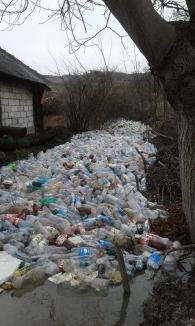 Râu de gunoaie: PET-urile curg la vale, într-un sat din Bihor (FOTO)