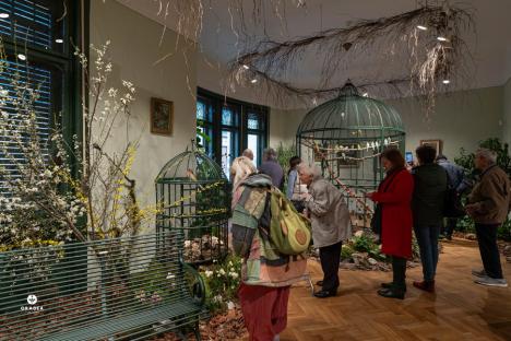 „Sunetul naturii”... indoor. Flori și păsări exotice, în noua expoziţie din Casa Darvas - La Roche (FOTO)