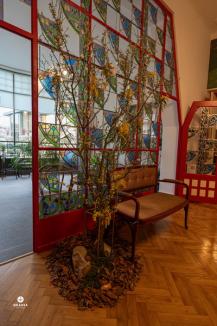 „Sunetul naturii”... indoor. Flori și păsări exotice, în noua expoziţie din Casa Darvas - La Roche (FOTO)