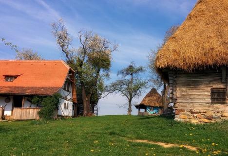 Descoperă valorile tradiţionale româneşti: Copii din centre de plasament, în tabără în complexul „Traditional Casa” din Roşia (FOTO)