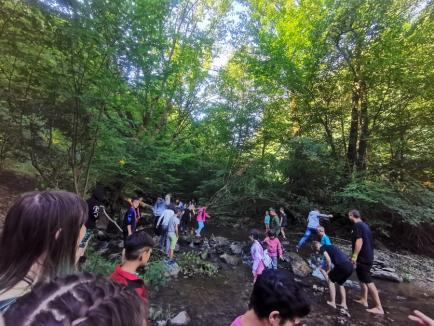 Tabăra Cătunul Verde: Zeci de copii și tineri din Bihor au învățat, în mijlocul naturii, cum să o protejeze (FOTO)