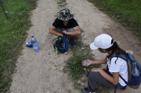 Outdoor Academy: Ecotop a dus mai mulţi copii la o lecţie de biologie şi ecologie în mijlocul naturii (FOTO)