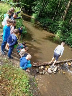 Prietenii Naturii: 85 de copii din Bihor au petrecut o săptămână în mijlocul naturii, învățând să o respecte (FOTO)