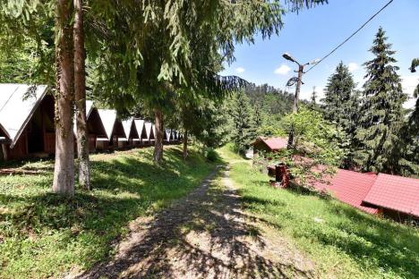Gata de vacanță: Câte au mai rămas și cum se prezintă taberele școlare din Bihor la începutul vacanței de vară (FOTO)