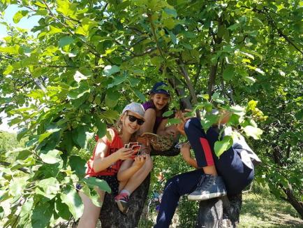 Chemarea naturii: Copiii din Bihor, 'îmbiaţi' cu tabere în natură pline cu activităţi distractive şi de aventură (FOTO)