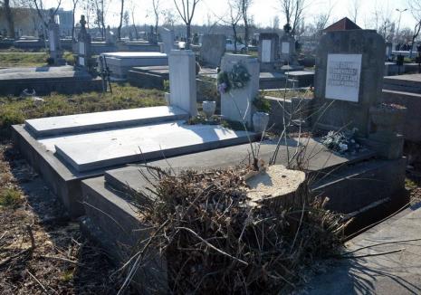 Arborii periculoşi din Cimitirul Rulikowski vor fi toaletaţi. Cererile pot fi depuse la sediul ADP Oradea