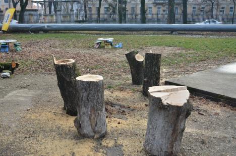 Parcul politrucilor: BIHOREANUL vă arată cum a fost transformat parcul Nicolae Bălcescu în 'jucăria' unei firme de partid (FOTO)