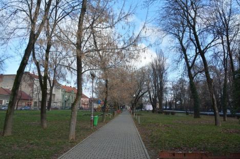 Parcul politrucilor: BIHOREANUL vă arată cum a fost transformat parcul Nicolae Bălcescu în 'jucăria' unei firme de partid (FOTO)