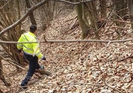 Un tânăr de 27 de ani din Bihor, găsit mort, într-o pădure din Cluj! Poliția a deschis dosar penal pentru ucidere din culpă (VIDEO)