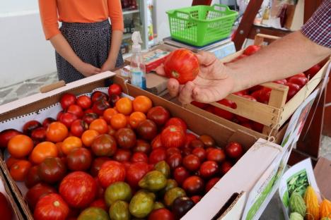 A început Târgul „Cămara Cetății” în Oradea: Printre delicatese, dovleci șarpe, vin de mure și zacuscă de păstrăv (FOTO / VIDEO)