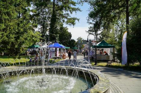 O nouă ediție a Târgului Meșterilor Populari. Ce au adus artizanii în Parcul Muzeului Țării Crișurilor din Oradea (FOTO)