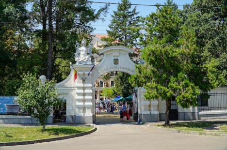 O nouă ediție a Târgului Meșterilor Populari. Ce au adus artizanii în Parcul Muzeului Țării Crișurilor din Oradea (FOTO)