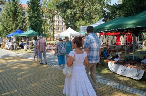 O nouă ediție a Târgului Meșterilor Populari. Ce au adus artizanii în Parcul Muzeului Țării Crișurilor din Oradea (FOTO)