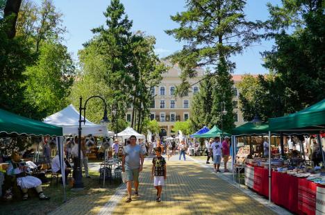 O nouă ediție a Târgului Meșterilor Populari. Ce au adus artizanii în Parcul Muzeului Țării Crișurilor din Oradea (FOTO)