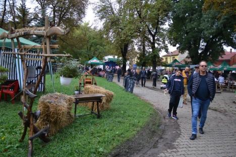 Pălincarii din Bihor îşi prezintă licorile cele mai de soi în Parcul Bălcescu (FOTO)
