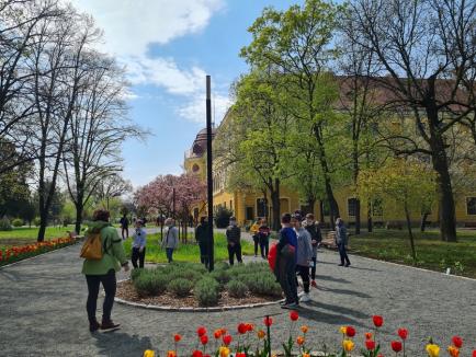Grădinăreasa Palatului: La doar 22 de ani, Timea Kleszken este grădinăreasa celui mai frumos parc din Oradea (FOTO)