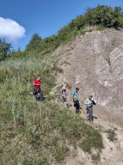 Două medalii de aur și una de argint pentru arcaşii de la Menumorut Biharia, la Naţionalele de 3D de lângă Praid (FOTO)